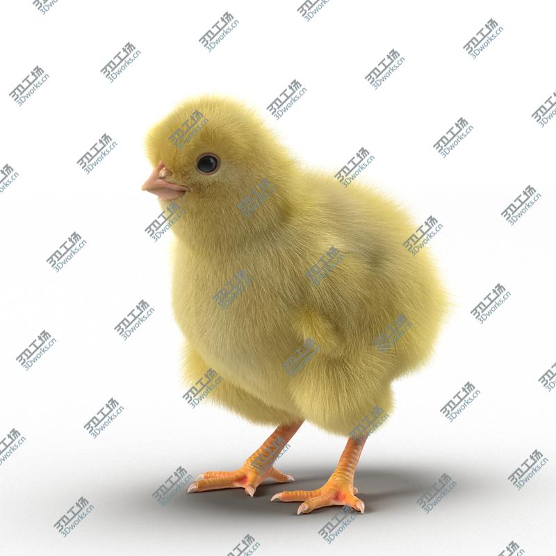 images/goods_img/2021040232/Chick Rigged/4.jpg